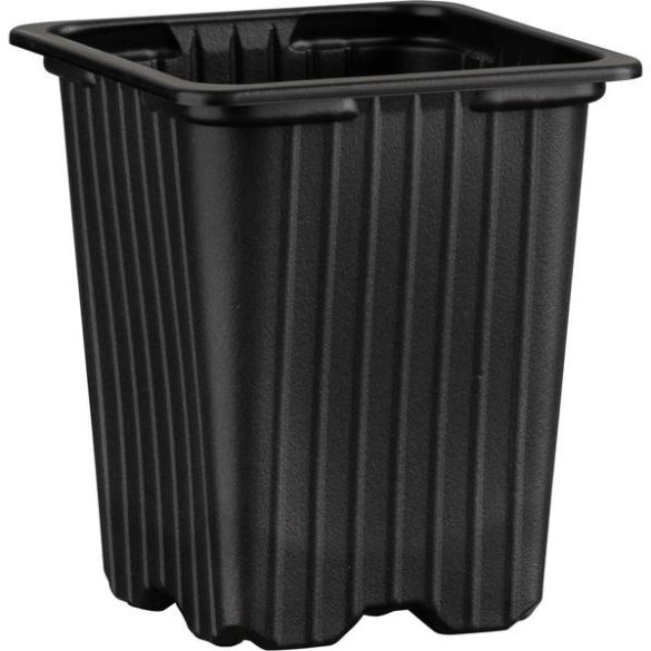 0707081_000_front_1 black