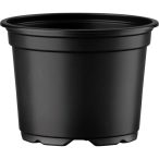 1055238_000_front_1 black