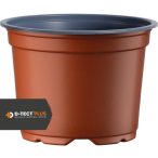 1055238_203_front_1 tc