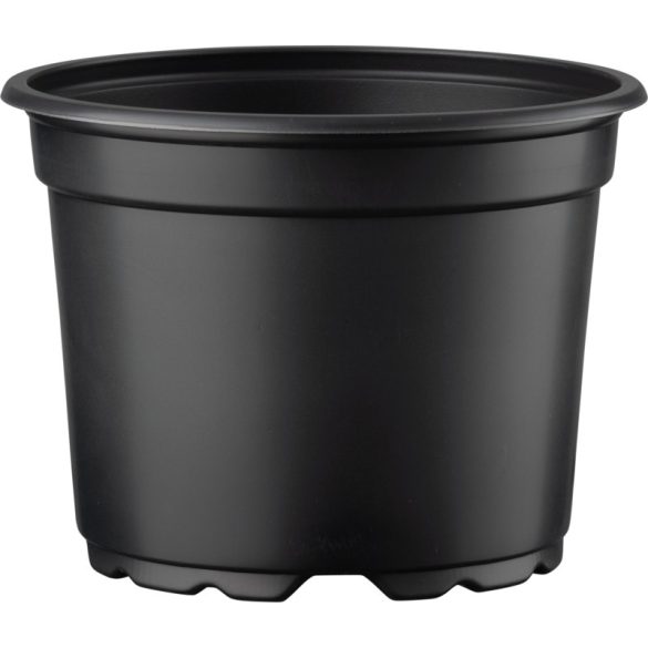 1705233_000_front_1 black