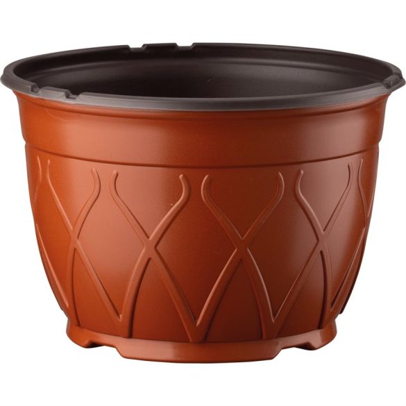 1905353_003_front_1_1@2x tc