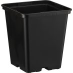 20203_000_front_1