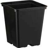 20203_000_front_1