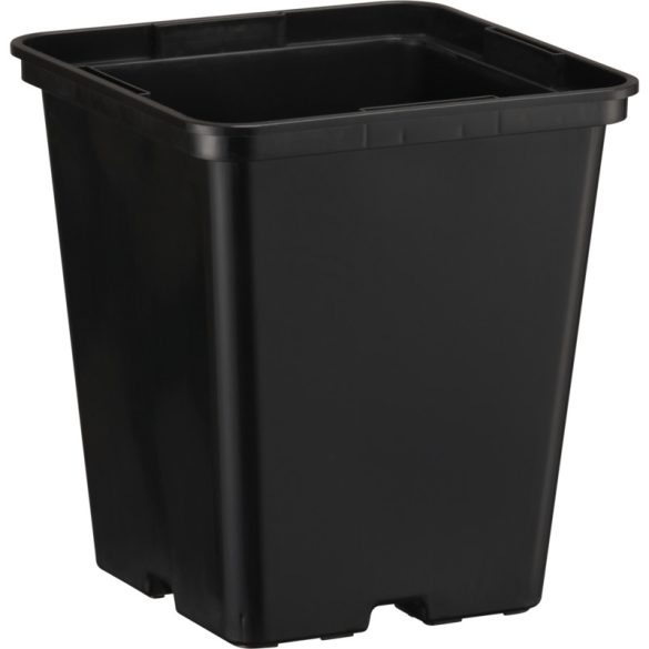 20203_000_front_1