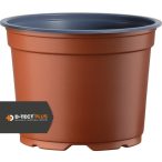 1205238_203_front_1 tc