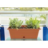 Prosperplast Camelia balkonláda, 40 cm - terrakotta