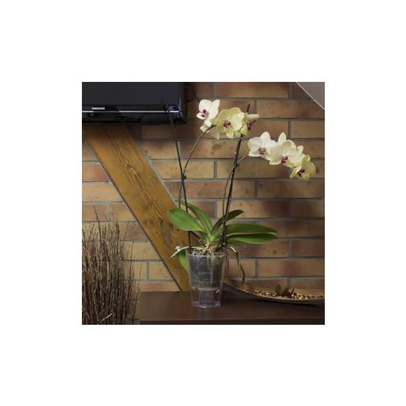 Prosperplast Coubi Orchid orchidea kaspó - átlátszó