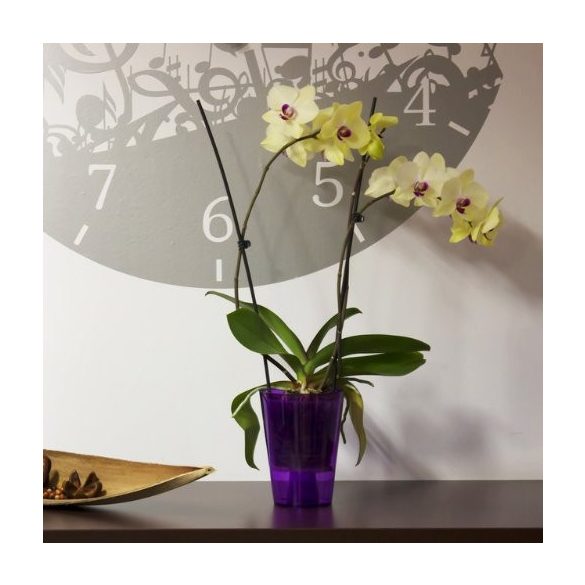 Prosperplast Coubi Orchid orchidea kaspó - lila