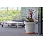 Terrakotta növényalátét fehér kaspó alatt-1